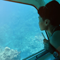 Glass-Bottom Boat Ride