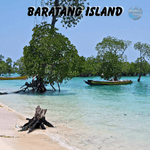 Baratang Island (1)