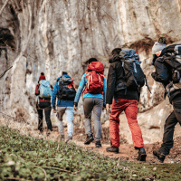 Budget & Backpacker Tour walk