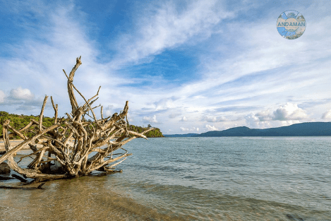 Andaman and Nicobar Islands travel Package