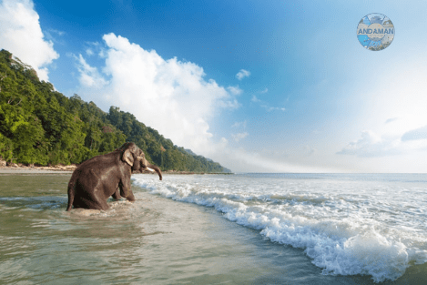Andaman and Nicobar Islands travel Package