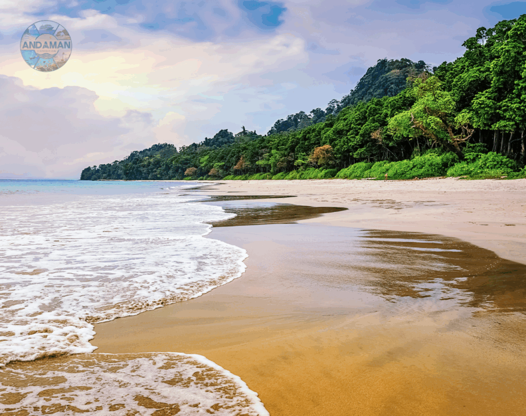 Andaman Havelock Island