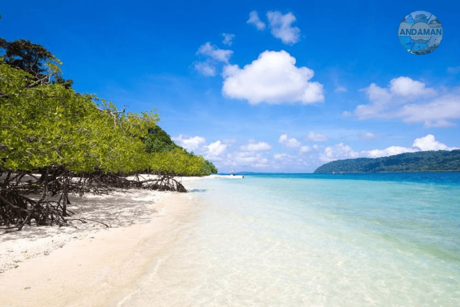 Vijaynagar beach with clear blue water