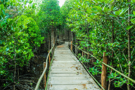Nayadera Mangrove Walk