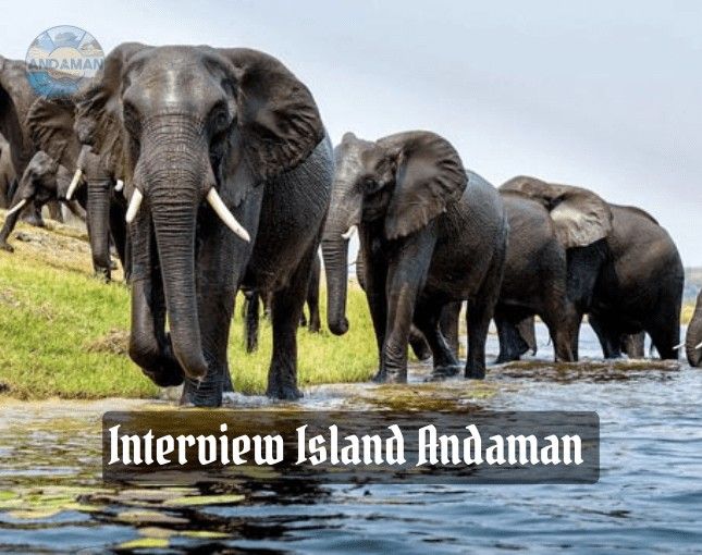 Interview-Island-Andaman